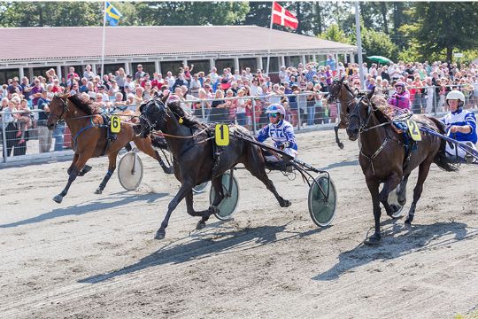 Travbanens bil strejkede