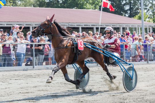 Laveste totooms�tning i mange �r p� BM-dagen