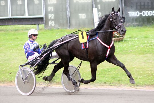 Bornholmer nyder livet i hovedstaden