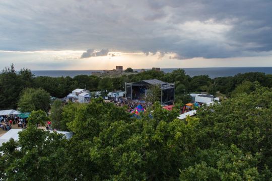 Syv taget med stoffer på festival