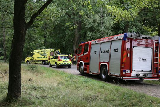 Uheld i skoven ved Kongemindet