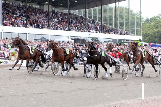 Overvejer at starte derbyvinder p� Bornholm