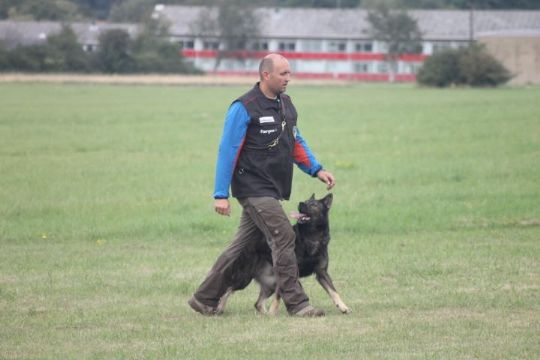 Udtaget til DM for politihunde