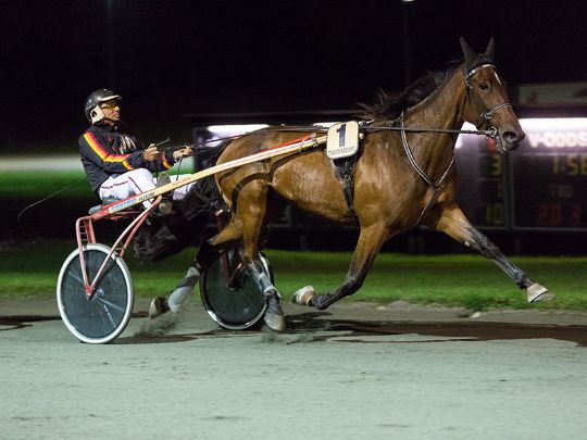 Stille dag p� travbanen