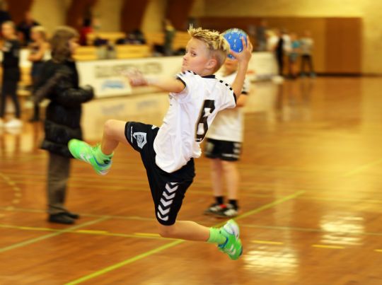 H�ndboldkampen tilbage p� banen