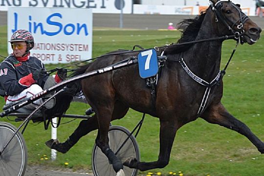 3-�rs mesterskabets storfavorit i rutinel�b