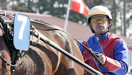 Bornholmer optimist inden hesteauktionen