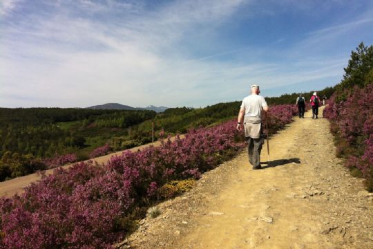Bornholmerpar p� pilgrimstur i Spanien