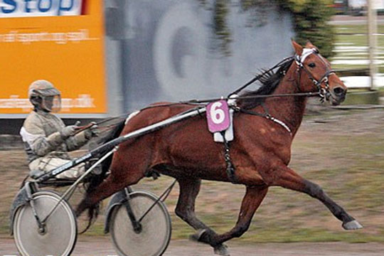 Bornholmskf�dt travk�mpe fundet d�d