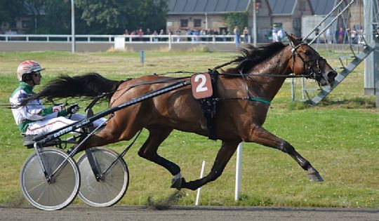 Hurtigklassetraver nu under rytter
