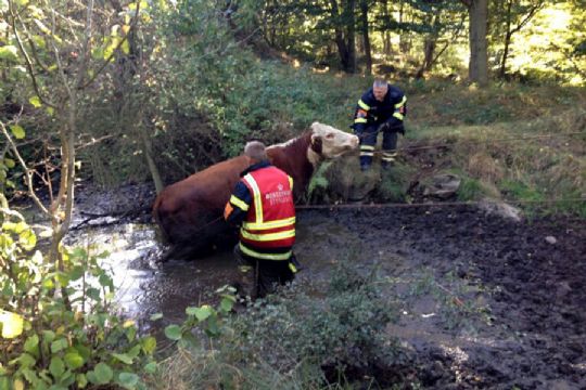 Us�dvanlig redningsaktion p� Nordbornholm