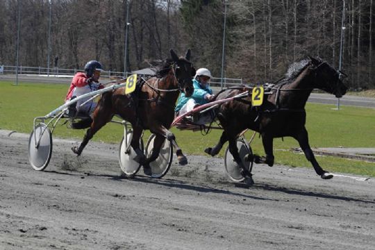 Den gyldne finale p� travbanen