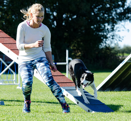 76 hunde dystede i �sterlars