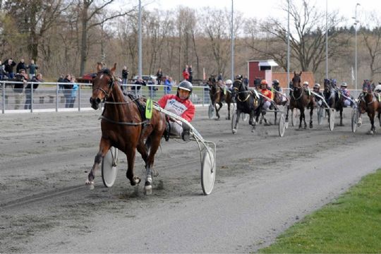 Gommans klar til championatsgys