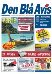 Mand udsat for bedrageri