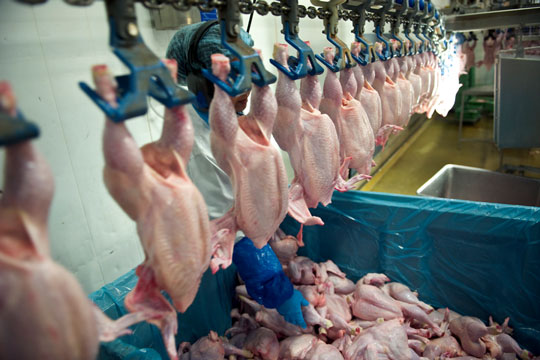 BornPoultry A/S er opl�st efter konkurs
