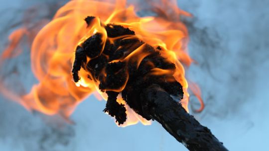 Naturforening t�nder bavn p� Nordbornholm