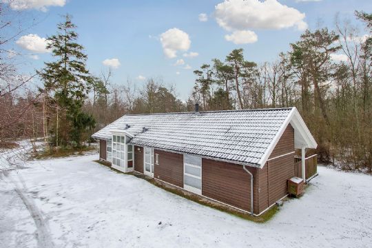 Fritidshus i skovkanten med 11 sovepladser