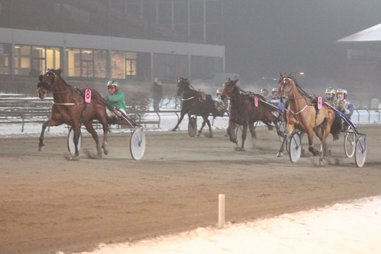 Bornholmer t�t p� sejren i Lunden