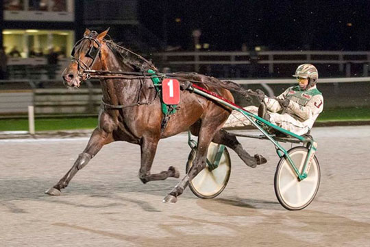 Dansk mester udbydes til salg p� Bornholm