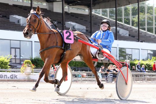 �ens bedste ponysportstalenter skal til Falster og Skive