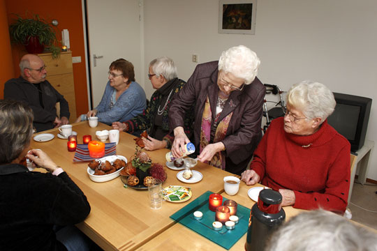 Brugere af v�rested betaler det meste selv