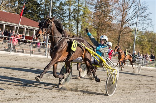 Bornholmsk k�mpe p� fire ben stopper karrieren