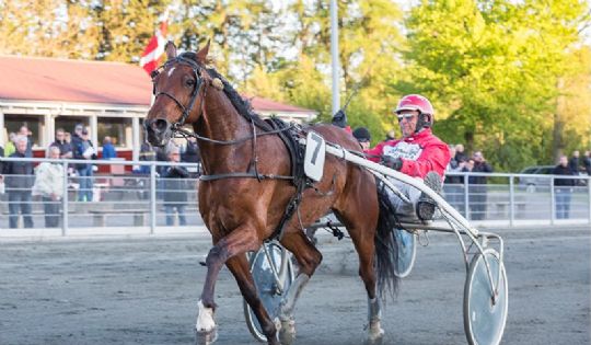 Picasso Jetset t�t p� dr�mmem�let