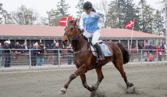 Ny montechampion p� travbanen