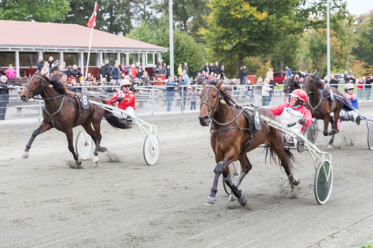 Kalle S�nna vandt finalen i unghesteserien