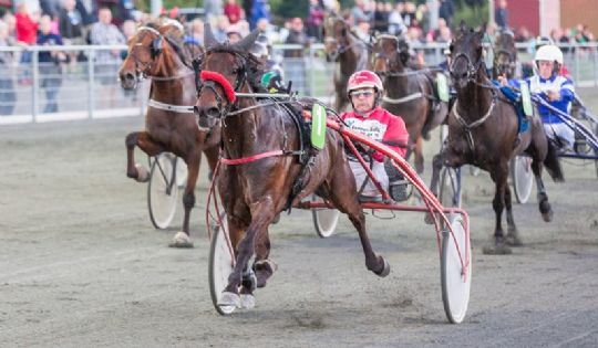 Gommans tror mest p� Presley p� l�rdag