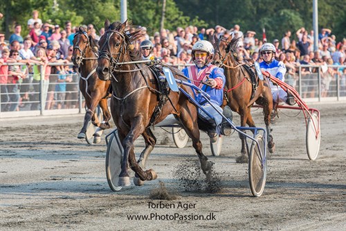 Bornholmerpar p� pengejagt p� Falster