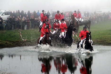 Tr�ning til Hubertusjagt 2016