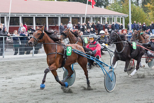 P�ne overraskelser gav store pr�mier