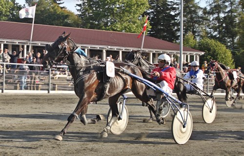 To karant�ner p� travbanen uden reel betydning