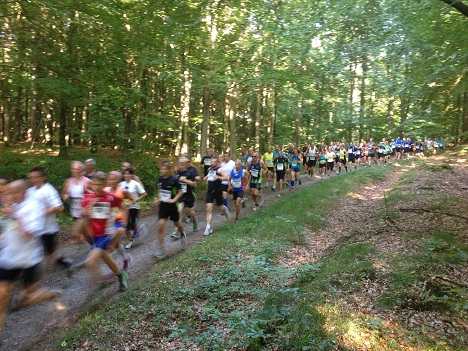 Mesterskaber p� hel - og halvmaraton