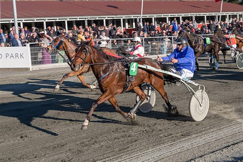 L�b p� tre danske v�ddel�bsbaner p� l�rdag