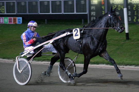 30 bornholmere med i f�lles hest som l�ber om over kvart million