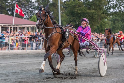 Storfavorit tvangsslettet p� travbanen