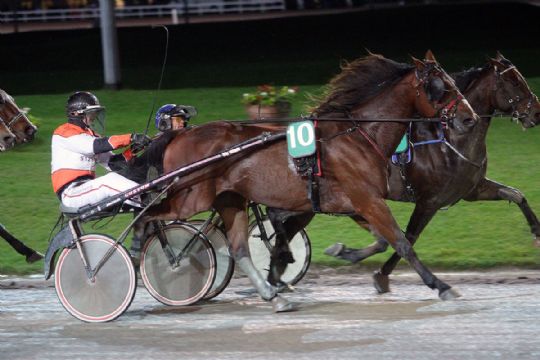 T�t p� bornholmsk sejr i hovedstaden