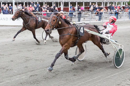 Stor interesse for V5-spillet p� travbanens finaledag
