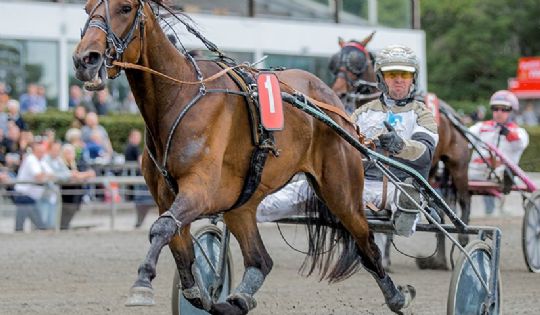 Bornholmske toptr�ner bor i Nordvestjylland