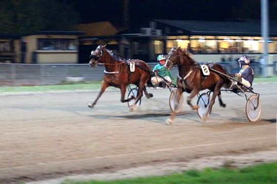 Bornholmer p� vej mod championatet i Nyk�bing F