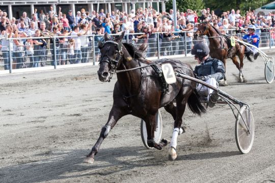 Tredobbelt dansk mester hylder bornholmsmesteren