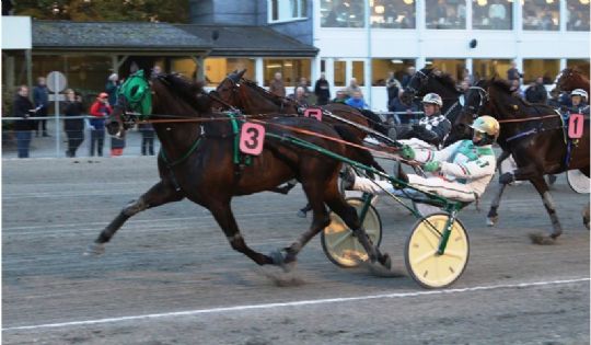 73.000 kr. i pr�mie til delvis bornholmskejet travhest