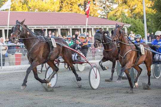 Sejrshesten Stopsigns First solgt