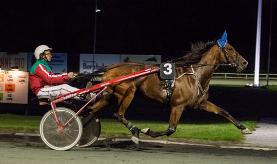 Dahl g�r comeback i sulkyen efter to �rs timeout