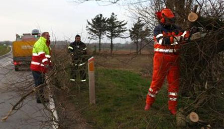 Politiet advarer om mange v�ltede tr�er