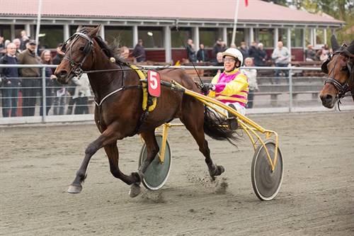 Karant�neramt travkusk m� gerne k�re v�ddel�b i morgen