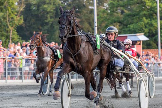 Skade stopper s�sonen for livsglad travhest